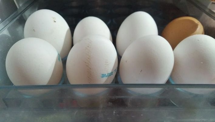 В Кировской области проверят обоснованность повышения цен на яйца