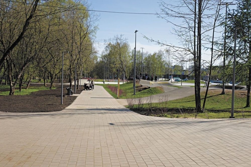 Цветы – на День города.