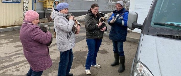 В Кирове проводится выездная вакцинация животных против бешенства 