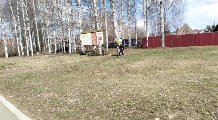 Кировские парки и скверы начали обрабатывать от клещей