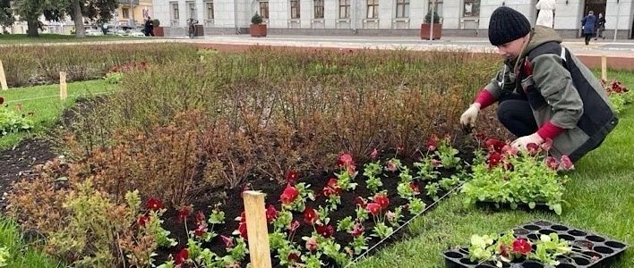 В Кирове завершаются работы по высадке цветов