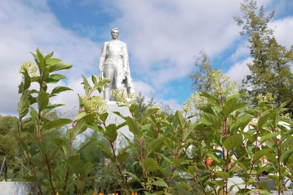 Соседство по-лянгасовски.