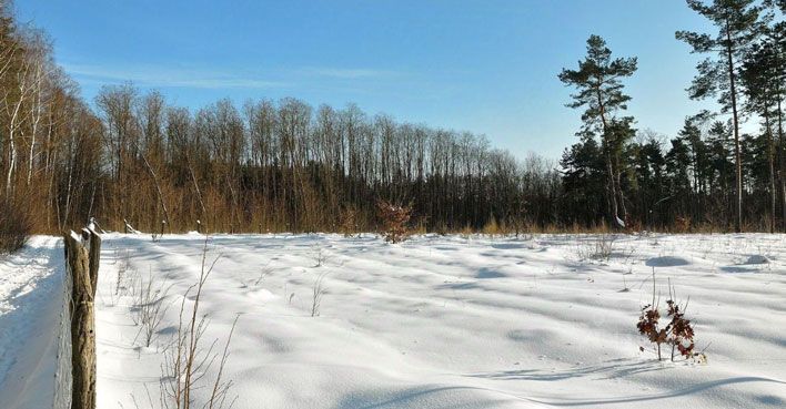 Кировские льготники смогут получить землю в деревнях Томиловы и Корчергинцы