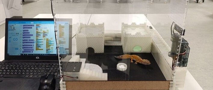 Кировские школьники стали победителями соревнований по робототехнике