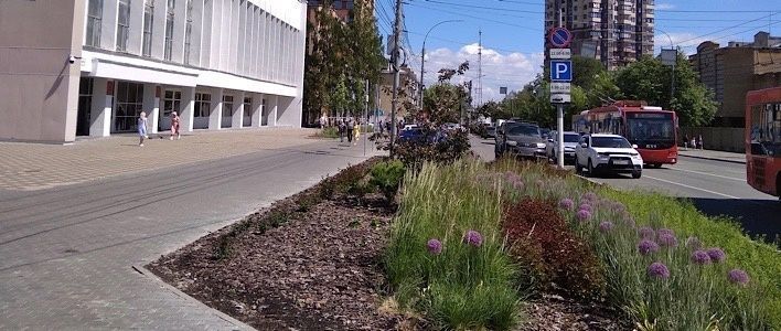 Новый подход к озеленению города Кирова