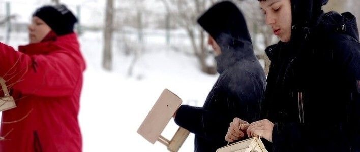 В Кирове проходит конкурс птичьих кормушек