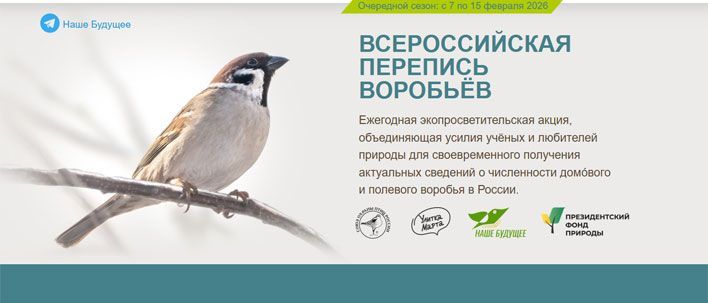 Кировчан приглашают поучаствовать в переписи воробьев