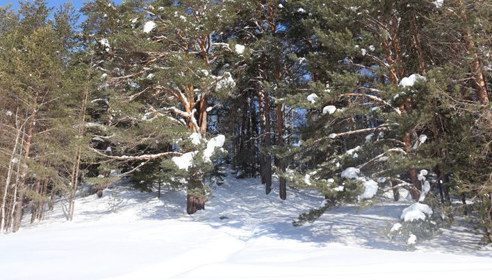 В Кировской области создан маршрут по Великорецкой экологической тропе