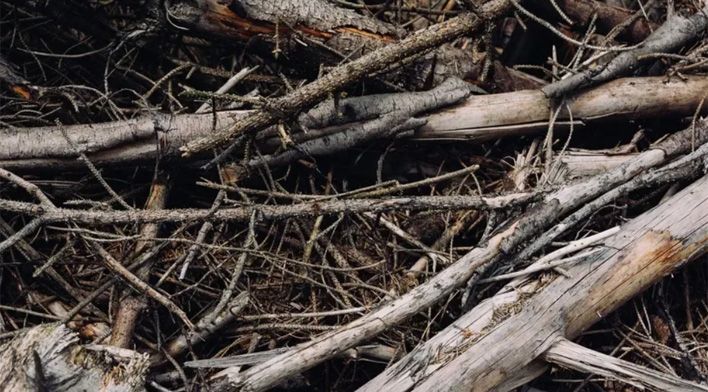 Свалку веток на Производственной ликвидируют через суд