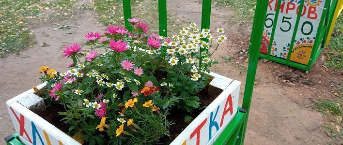 Кировчане выбрали лучшие дворы  