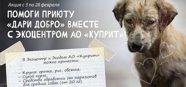 «Куприт» поможет бездомным собакам 