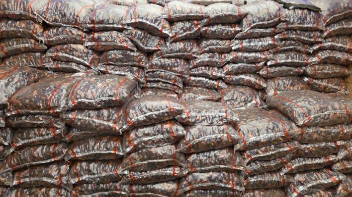 В Кировскую область привезли сухофрукты из Киргизии