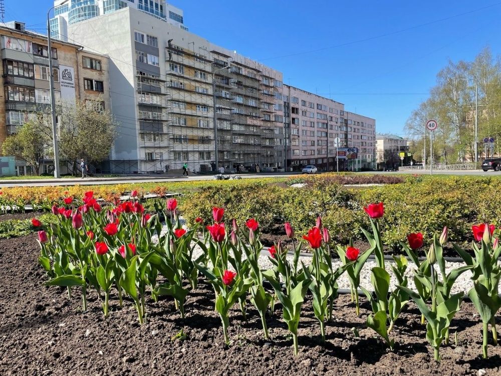 Готовимся к Дню города