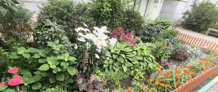 В Кирове подвели итоги конкурса «Цветущий город»