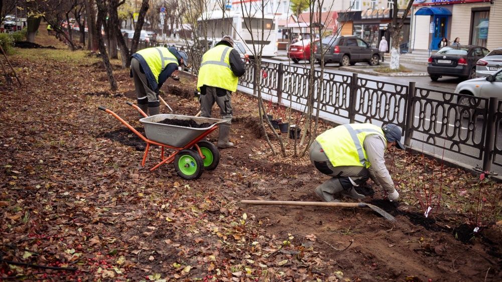 На Октябрьском бульваре высаживают деревья