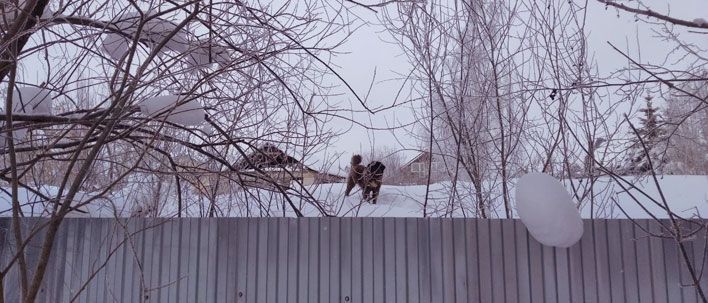 До +3: в Кирове резко потеплеет