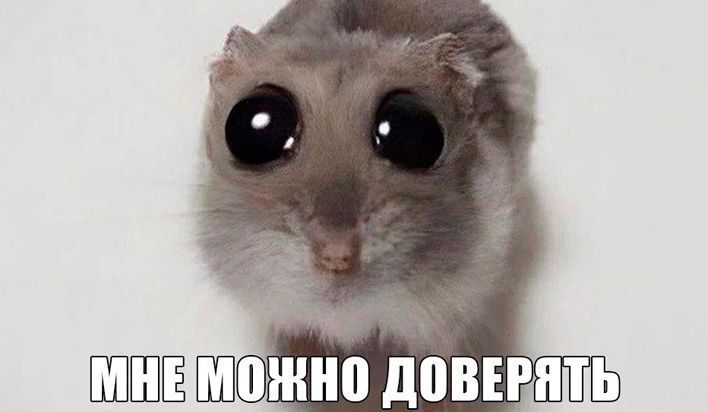 Житель Нововятска открыл файл «Знаете ли вы этих людей?» и лишился денег 