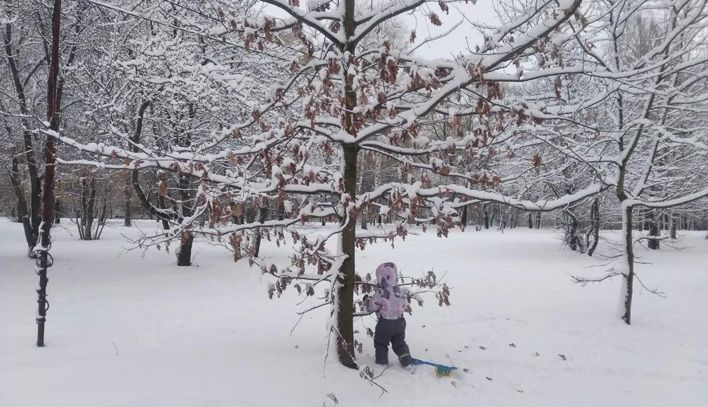 Снег в Кирове растает в четверг
