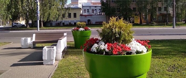 Новый подход к озеленению города Кирова