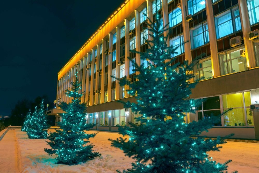 В Кирове откроются восемь елочных базаров.