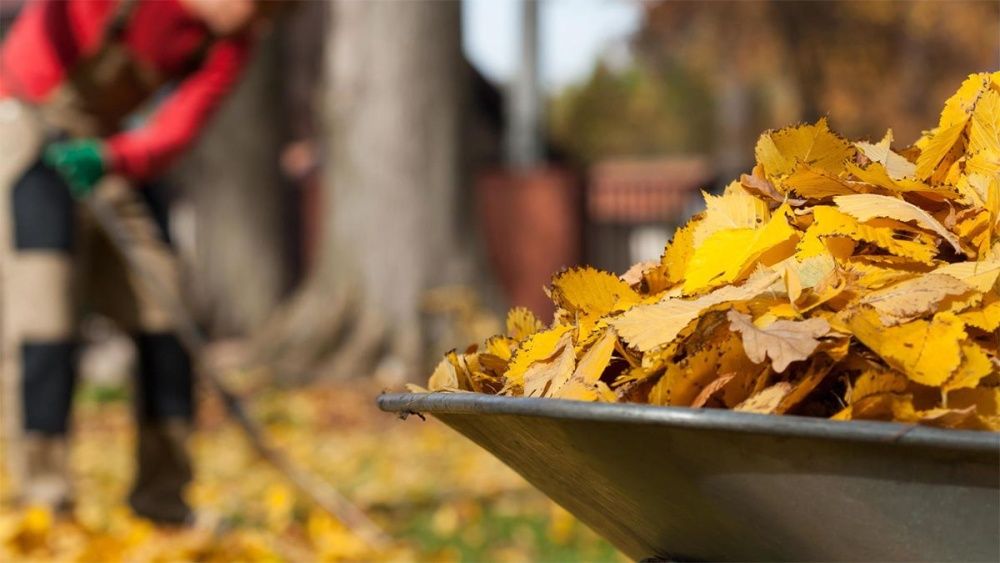 Городские субботники: Все вместе за чистоту нашего города!