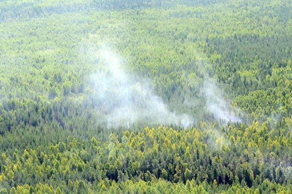 В Кировской области сохраняется высокий риск возникновения пожаров в лесах