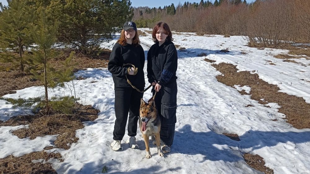 Марафон добрых дел объединяет кировчан