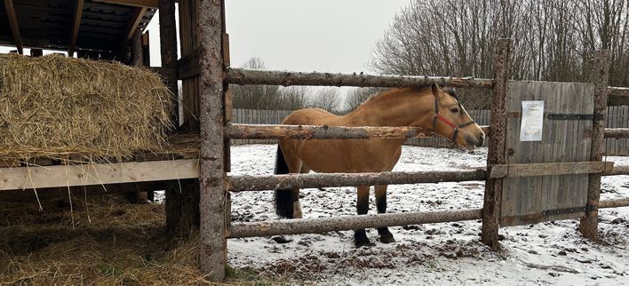 Жителей Кирова приглашают на обучение в «Школе фермера»