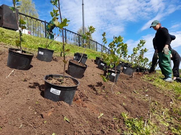 В Кирове активно обновляются городские территории