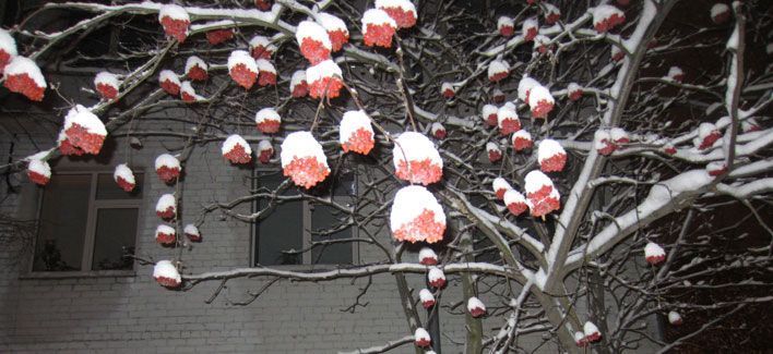 Тепло вернется в Киров только в конце февраля