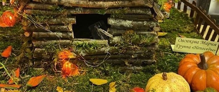 Центры местной активности проводят мероприятия для кировчан 