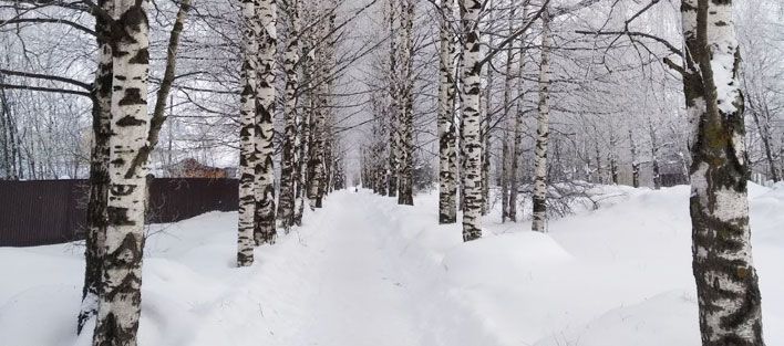 За неделю сугробы в Кирове вырастут на 40 см