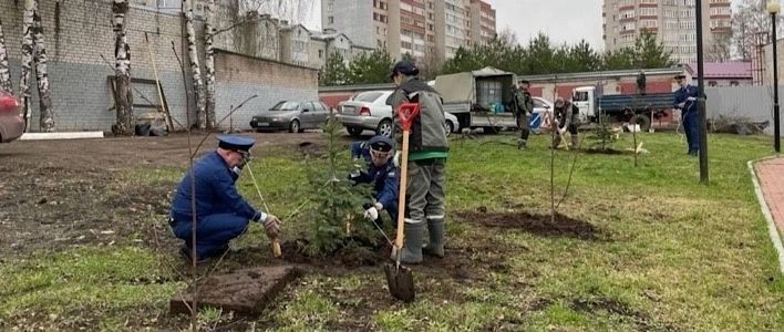 Сквер Трудовой славы преобразился благодаря новым зеленым насаждениям 