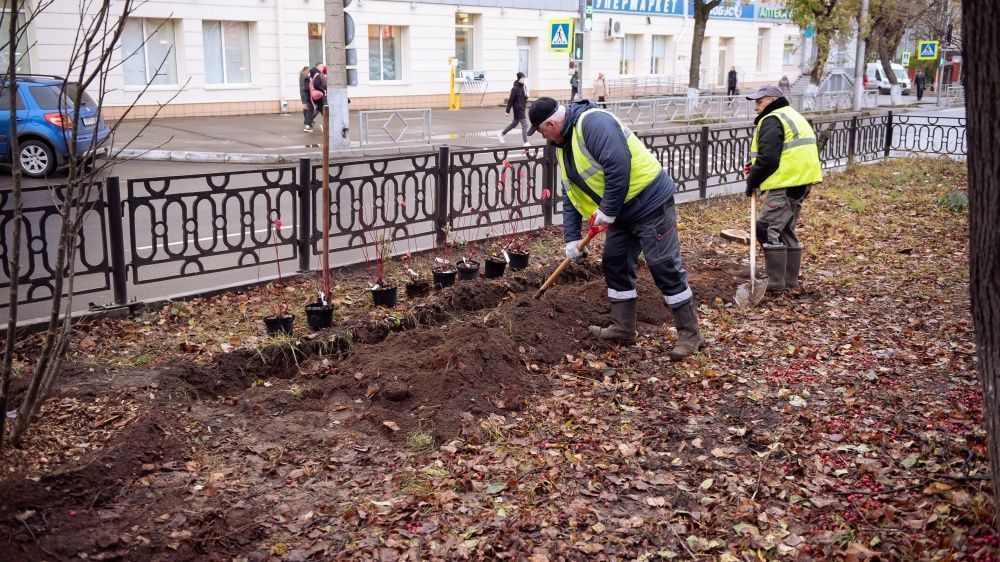 На Октябрьском бульваре высаживают деревья