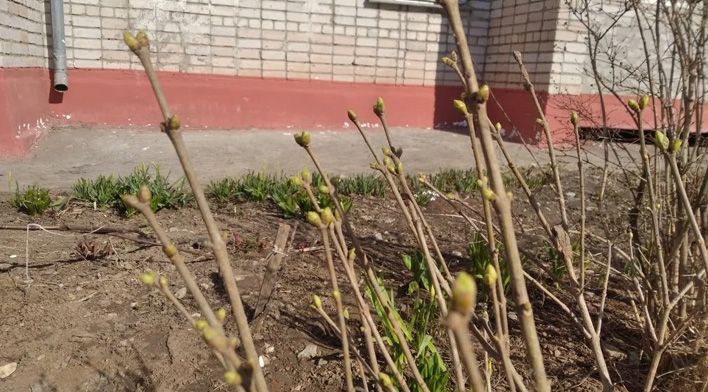 В Киров придет похолодание со снегопадами 