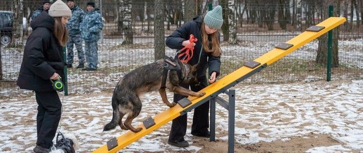  В парке имени Ю. А. Гагарина открылась площадка для выгула собак