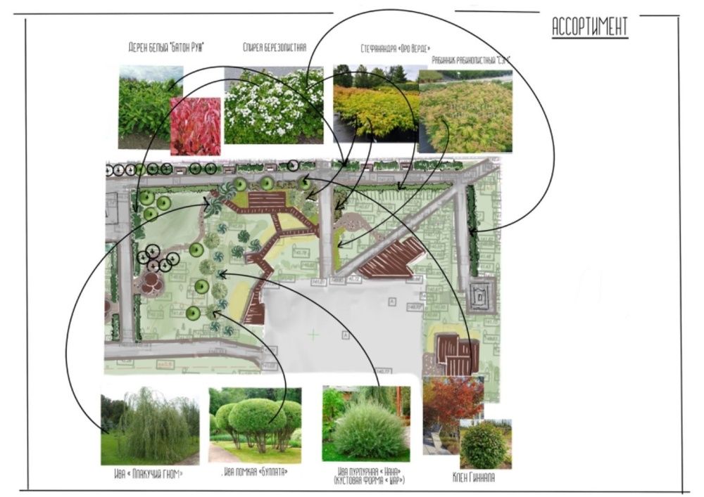  Проект озеленения сквера у Спасского собора.