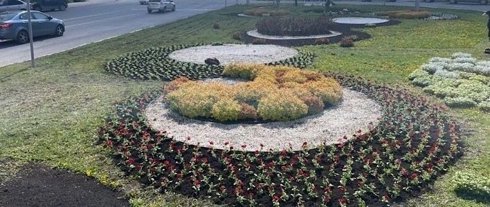 В Кирове завершаются работы по высадке цветов