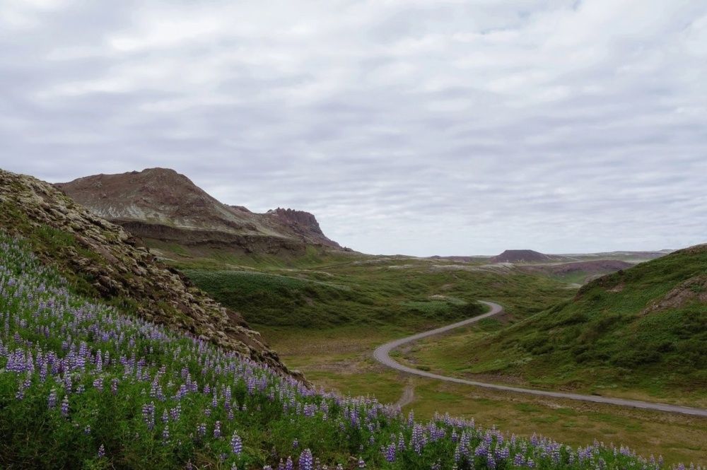 В Пушкинке состоялась встреча с фотографом Анастасией Сотченко, которая полгода прожила в столице Исландии.