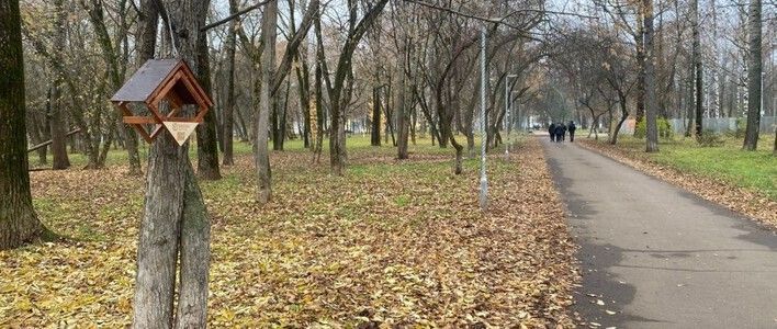 В двух парках Кирова установили новые кормушки для птиц