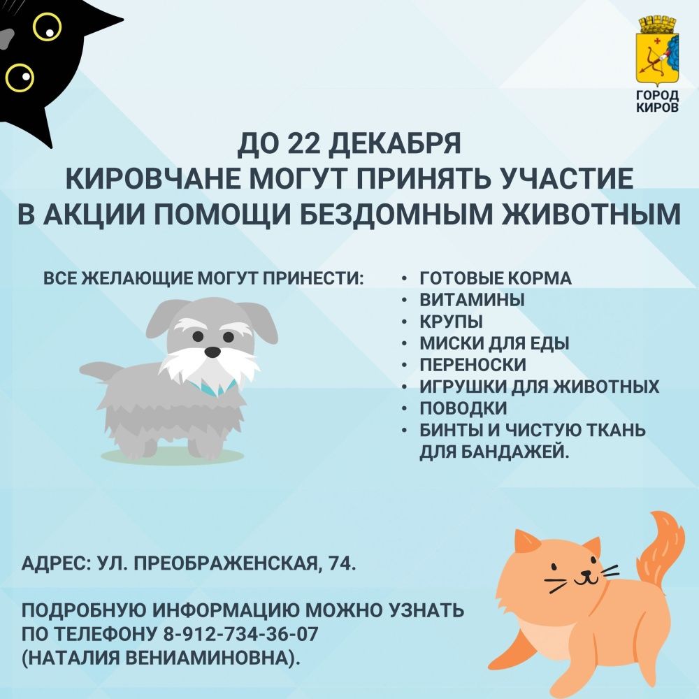 Бездомные животные нуждаются в заботе.