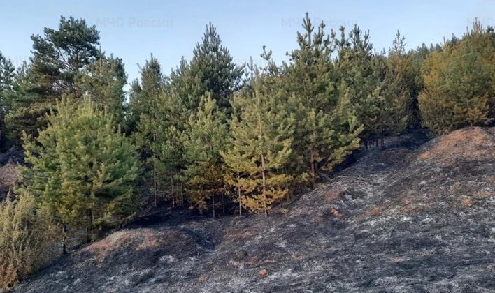 В Кировской области произошел первый лесной пожар