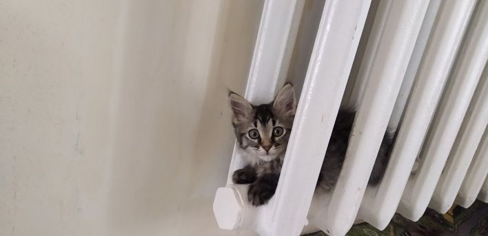 Жителям Кирова напомнили о необходимости своевременной оплаты коммунальных услуг