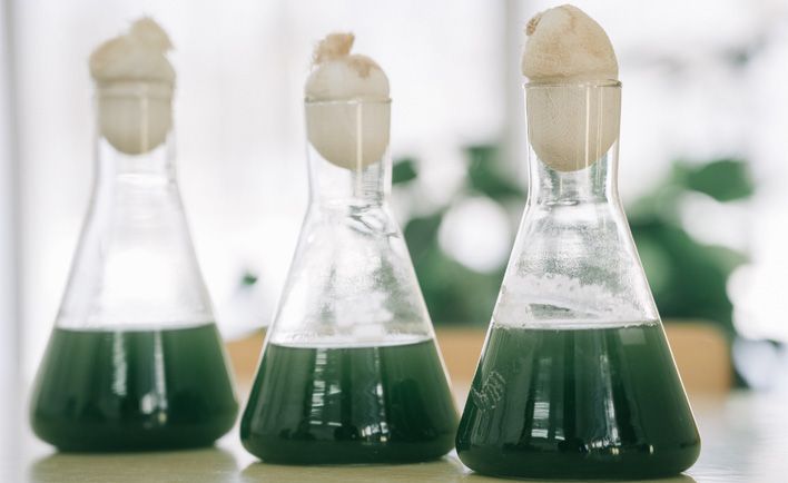 Ученый из ВятГУ выявила элемент, загрязняющий водоемы 