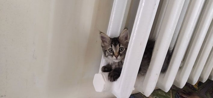 Жители Кирова могут заплатить за отопление в рассрочку