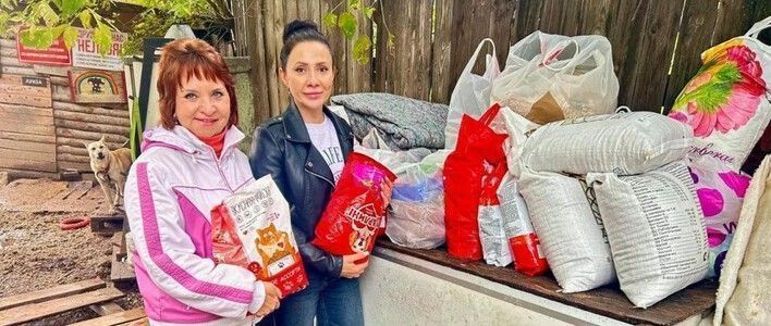 В Кирове завершилась благотворительная акция «Мокрый нос»