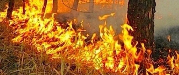 Правила пожарной безопасности