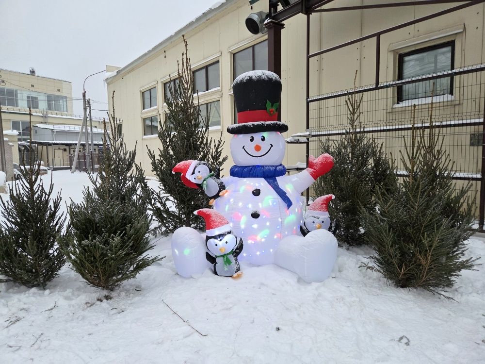 Подведены итоги конкурса «Городская зима»