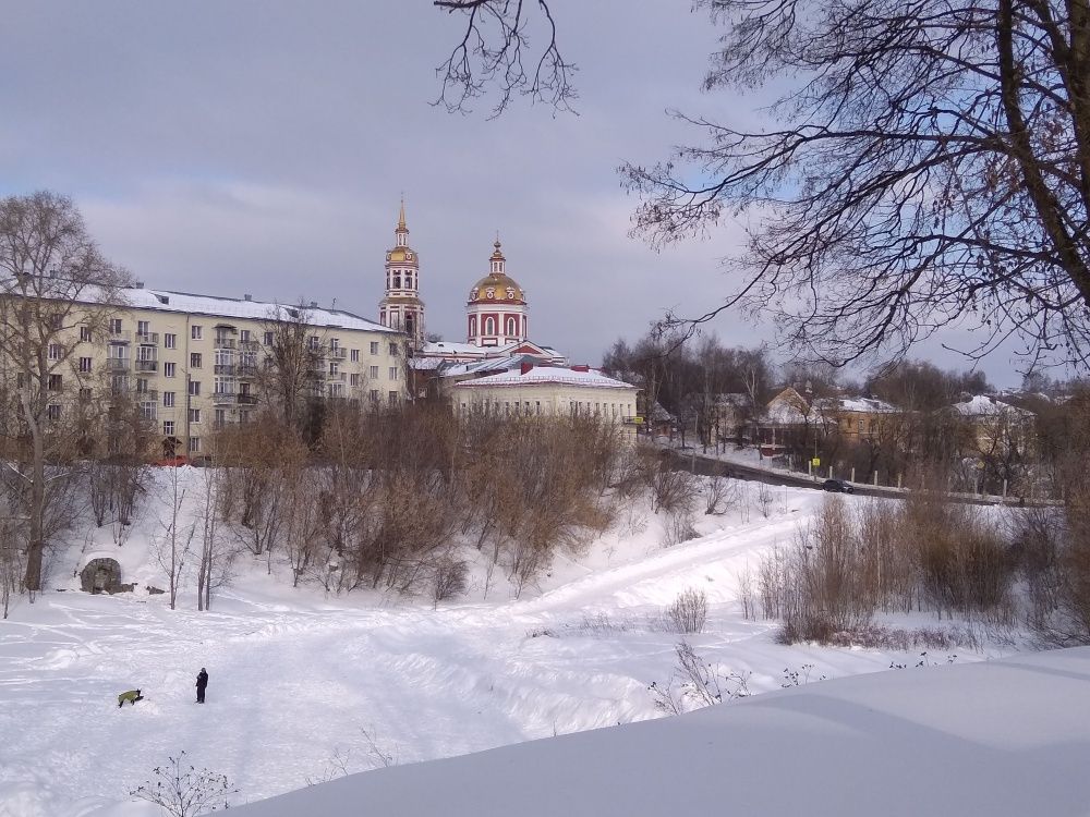 Овраг Засора лидирует в голосовании.