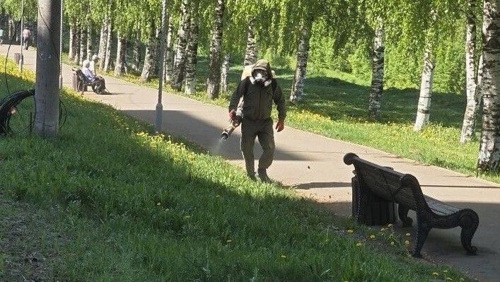 В Кирове началась обработка бульваров и придорожных зеленых зон от клещей